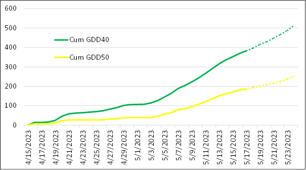 GDD graph.